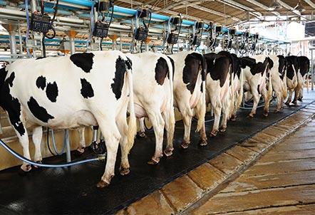 ÇALIŞMA ALANLARIMIZ