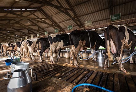 ÇALIŞMA ALANLARIMIZ